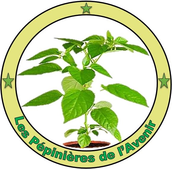 Logo 2